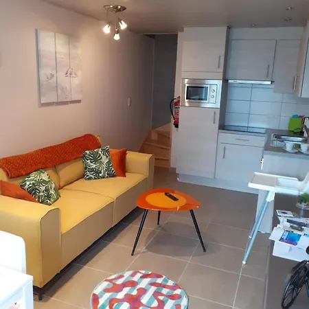De Tureluur Vakantiehuisjes 布列登